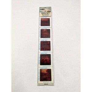 Vintage GAF Pana-Vue Slides Chuckanut Gardens Alger Washington Lot of‎ 5 PV125